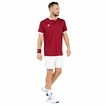 Herren T-Shirt Tecnifibre  Club Polo Cardinal