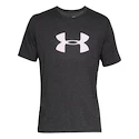 Herren T-Shirt Under Armour  BIG LOGO SS-GRY