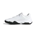 Herren Tennisschuhe adidas Solematch Control 2 Cloud White