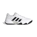 Herren Tennisschuhe adidas Solematch Control 2 Cloud White