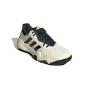 Herren Tennisschuhe adidas Solematch Control 2 White/Silver