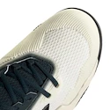 Herren Tennisschuhe adidas Solematch Control 2 White/Silver