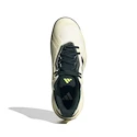 Herren Tennisschuhe adidas Solematch Control 2 White/Silver
