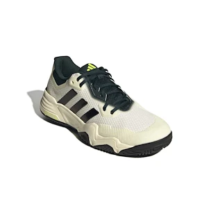 Herren Tennisschuhe adidas Solematch Control 2 White/Silver