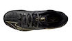 Herren Tennisschuhe Mizuno Wave Exceed TOUR 6 AC 10th Iron Gate/Gold/Black