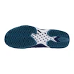 Herren Tennisschuhe Mizuno Wave Exceed Tour 6 CC Bellwether Blue/White