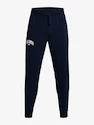 Herren Trainingshose Under Armour