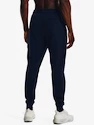 Herren Trainingshose Under Armour