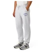 Herrenhose CCM  Athleisure Jogger Grey Melange