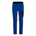 Herrenhose Salewa  Pedroc Light DST Electric 2X