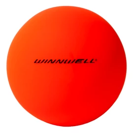 Hockeyball WinnWell
