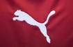 Home Jersey Puma Czech Republic with original signature of Petr Cech