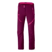 Hosen für Frauen Dynafit  MERCURY 2 DST W PNT