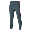 Hosen für Frauen Mizuno  Charge Printed Pant Turbulence  XL