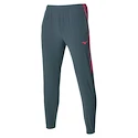 Hosen für Frauen Mizuno  Charge Printed Pant Turbulence  XL