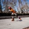 Inline Skates