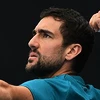 Marin Čilić