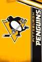 Inklusive Wäsche Official Merchandise Bettwäsche NHL Belt NHL Pittsburgh Penguins Belt