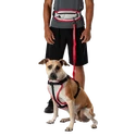 Jogginggürtel Nathan  K9 Series Runner's Waistpack With Leash