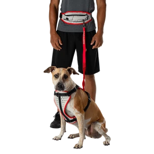 Jogginggürtel Nathan  K9 Series Runner's Waistpack With Leash