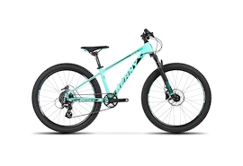 Kinder Fahrrad Beany Blaster  20 Mint