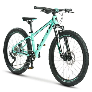 Kinder Fahrrad Beany Blaster  24 Mint