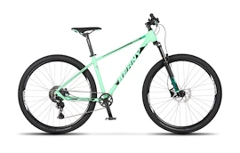 Kinder Fahrrad Beany Blaster 29 Light Green, 19"