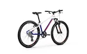 Kinder Fahrrad Mondraker  Leader 24
