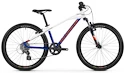 Kinder Fahrrad Mondraker  Leader 24