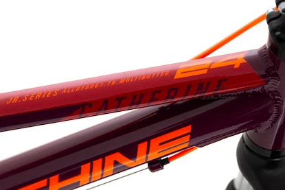 Kinder Fahrrad Rock Machine Catherine 24 VB