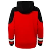 Kinder Hoodie Outerstuff Ageless must have NHL Detroit Red Wings