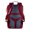 Kinder Rucksack Salewa  Minitrek 12 BP