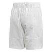 Kinder Shorts adidas SMC B Short White - Gr. 140