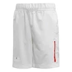 Kinder Shorts adidas SMC B Short White - Gr. 140