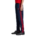 Kinder Trainingshose adidas Arsenal FC