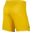 Kurze Hosen Nike