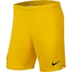 Kurze Hosen Nike