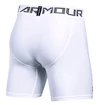 Kurze Hosen Under Armour HeatGear
