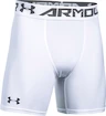 Kurze Hosen Under Armour HeatGear