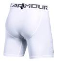 Kurze Hosen Under Armour HeatGear