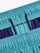 Kurze Hosen Under Armour UA Tech Vent Short-BLU