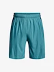 Kurze Hosen Under Armour UA Tech Vent Short-BLU