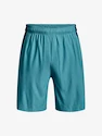 Kurze Hosen Under Armour UA Tech Vent Short-BLU
