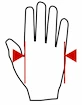 MadMax Professional Handschuhe MFG269 weiß