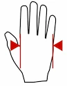 MadMax Professional Handschuhe MFG269 weiß