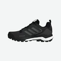 Männer Schuhe adidas  Terrex Skychaser 2 GTX Black