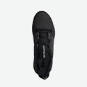 Männer Schuhe adidas  Terrex Skychaser 2 GTX Black