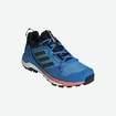 Männer Schuhe adidas  Terrex Skychaser 2 GTX Blue