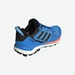 Männer Schuhe adidas  Terrex Skychaser 2 GTX Blue