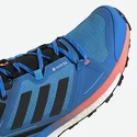 Männer Schuhe adidas  Terrex Skychaser 2 GTX Blue